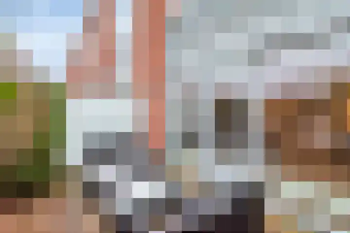 Slagveld 125 Etten-Leur thumbnail 19