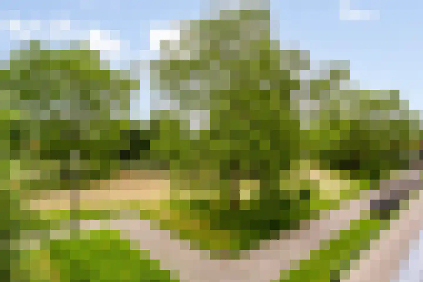 Slagveld 143 Etten-Leur thumbnail 34