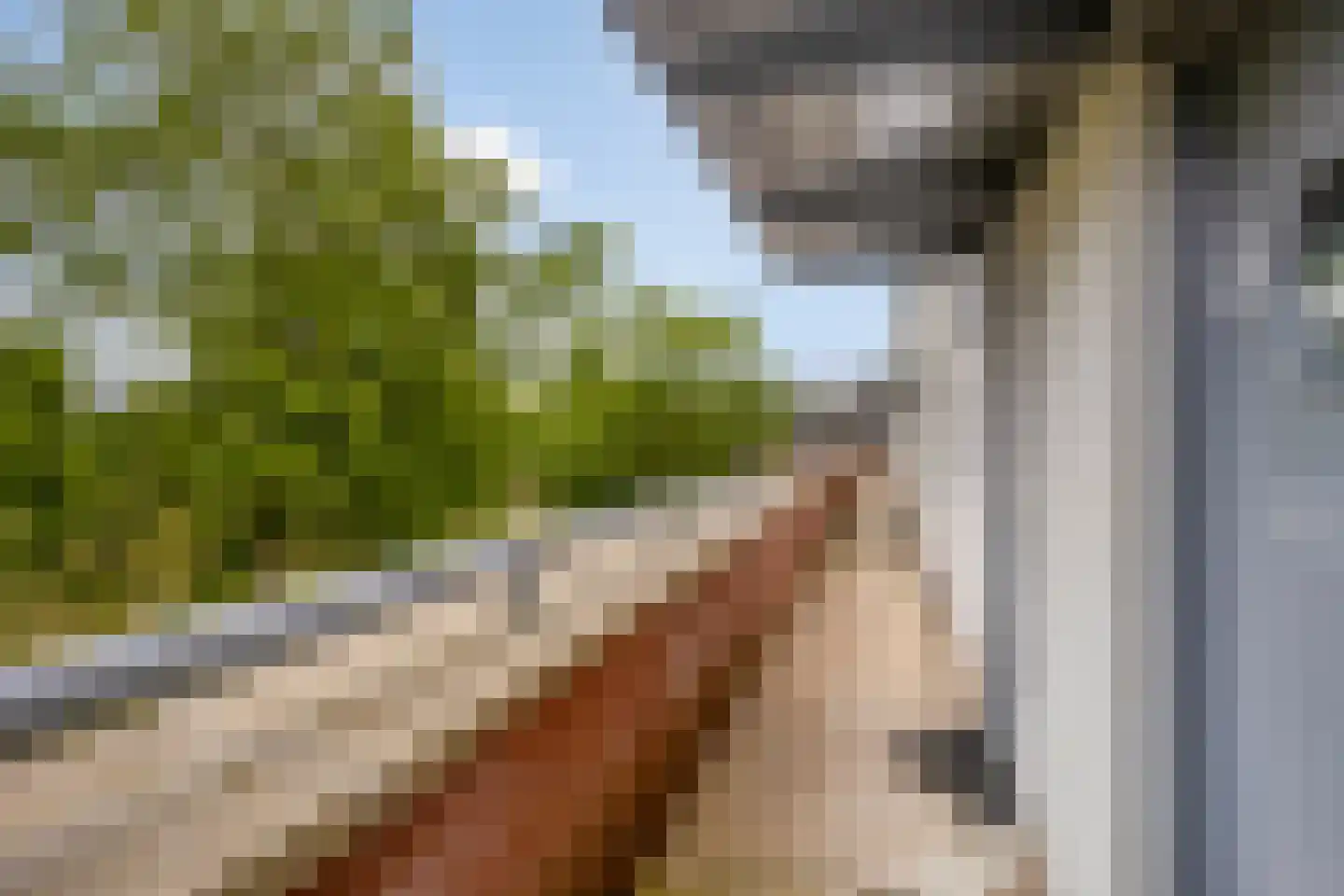 Slagveld 143 Etten-Leur thumbnail 8