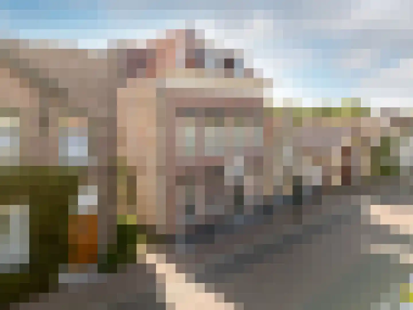 Slagveld 15 Brielle thumbnail 10
