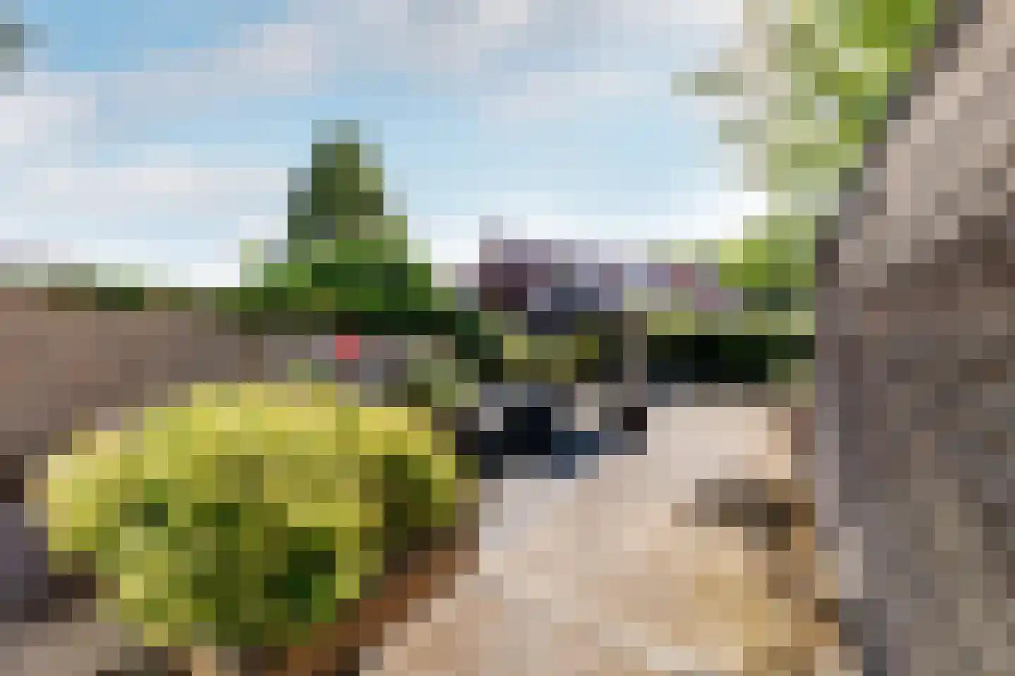 Slagveld 15 Brielle thumbnail 41