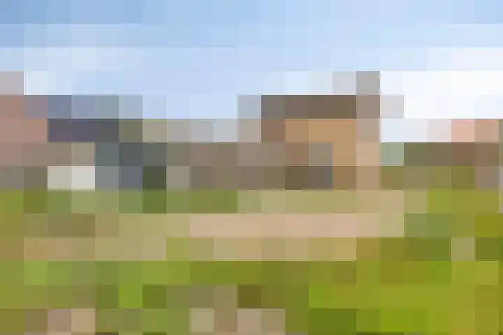 Slagveld 15 Brielle thumbnail 57