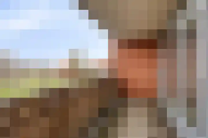 Slagveld 167 Etten-Leur thumbnail 15