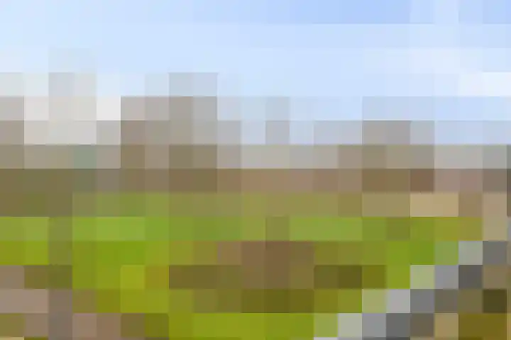 Slagveld 167 Etten-Leur thumbnail 25