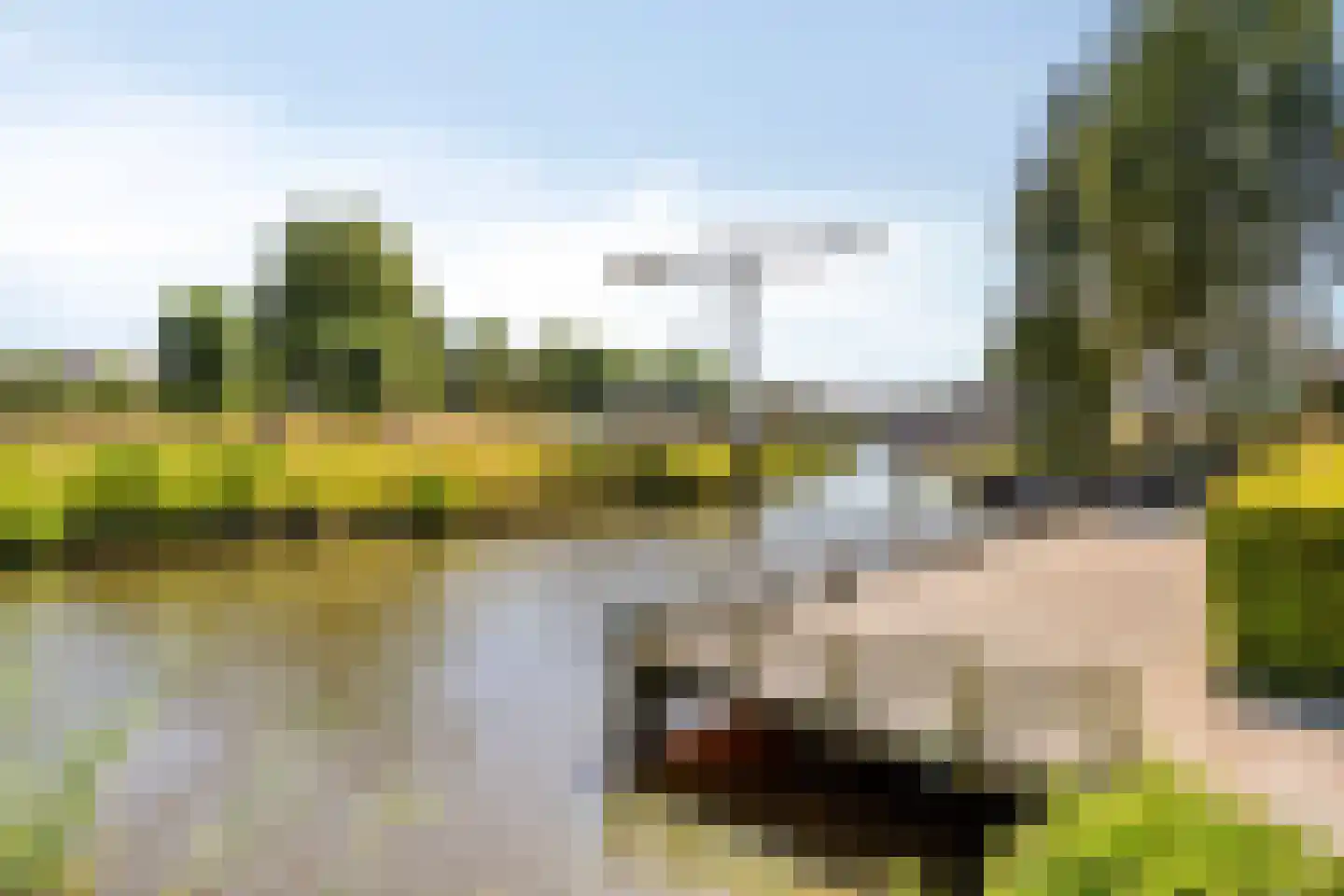 Slagveld 177 Etten-Leur thumbnail 29