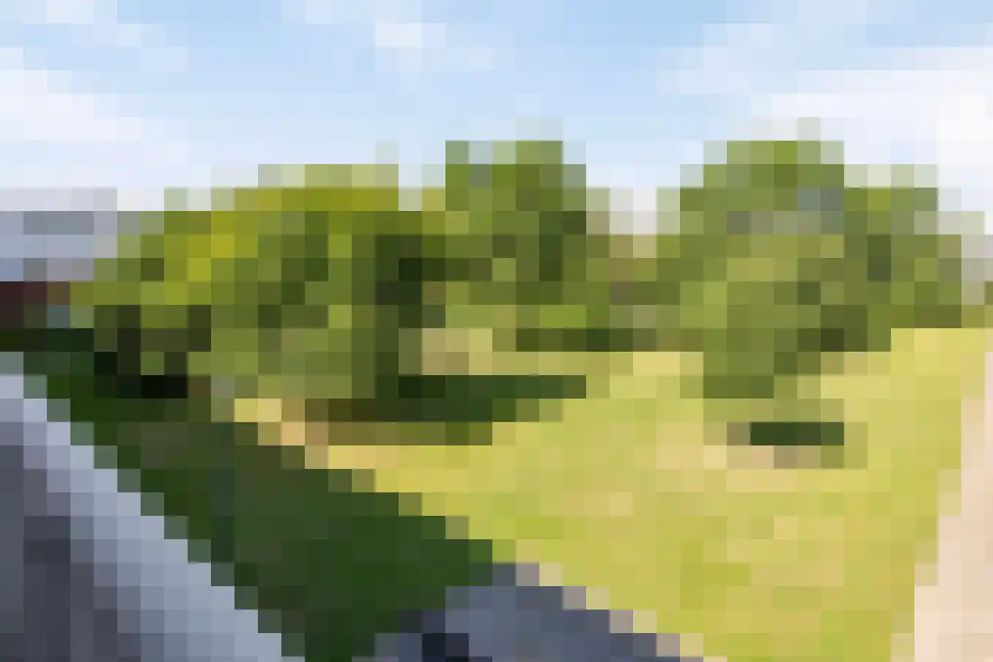 Slagveld 189 Etten-Leur thumbnail 41