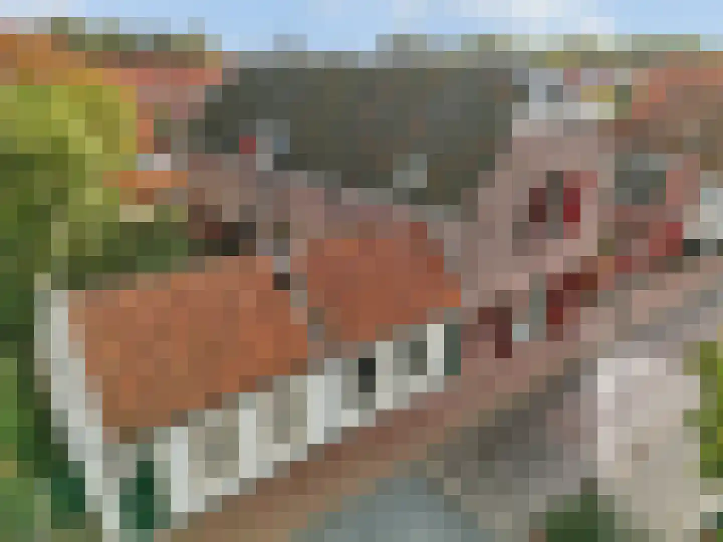 Slagveld 30 Brielle thumbnail 30