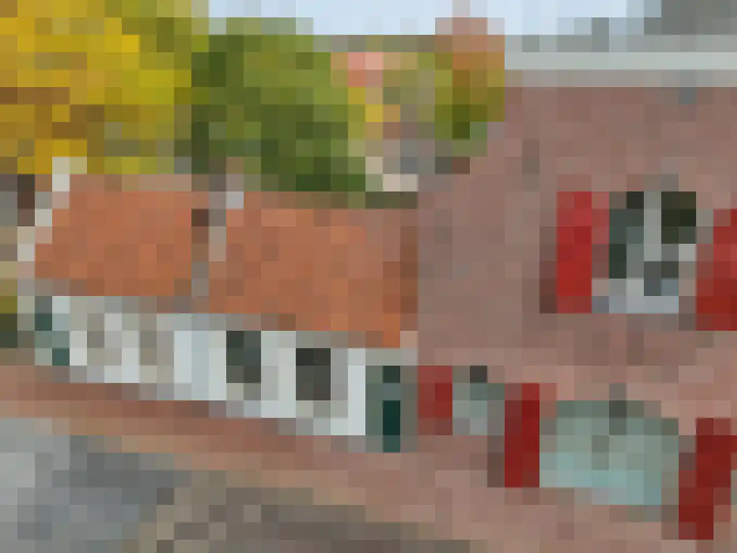 Slagveld 30 Brielle thumbnail 31