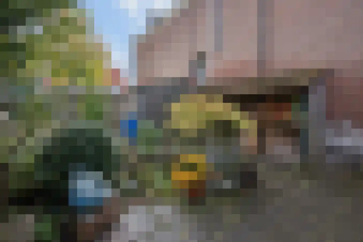 Slagveld 30 Brielle thumbnail 8
