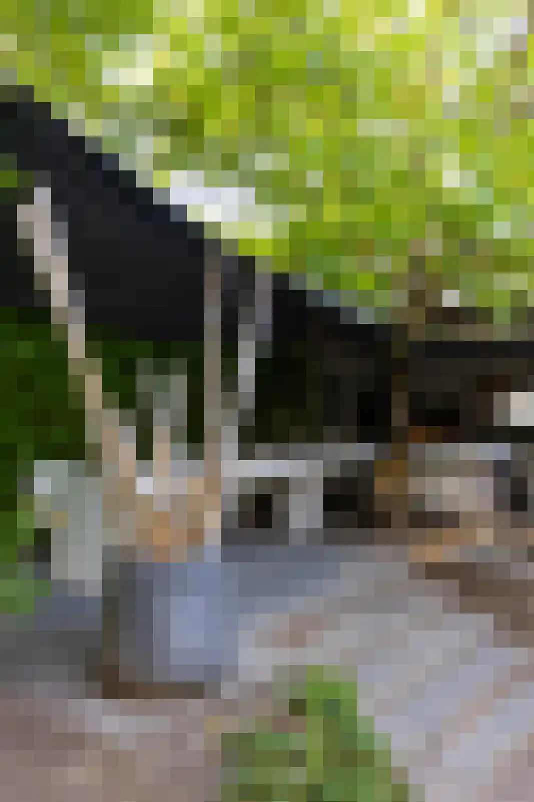 Slagveld 39 Etten-Leur thumbnail 68