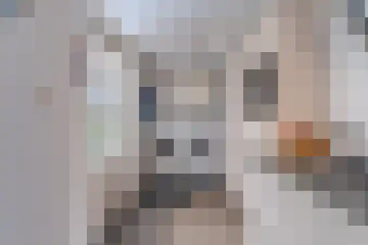 Slagveldstraat 1 Kruiningen thumbnail 18