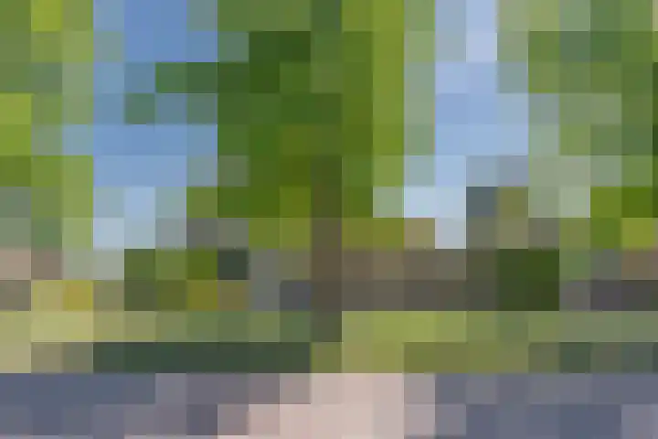 Slagveldstraat 1 Kruiningen thumbnail 7