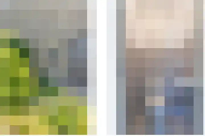 Slagveldstraat 1 Kruiningen thumbnail 8