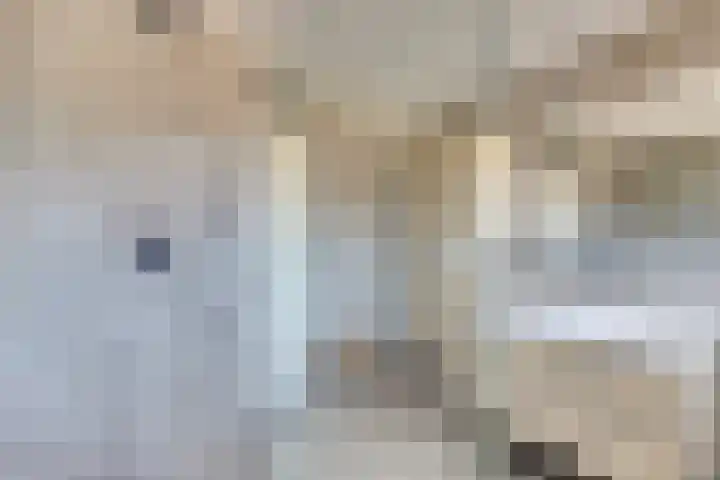 Slagveldstraat 9 Kruiningen thumbnail 23