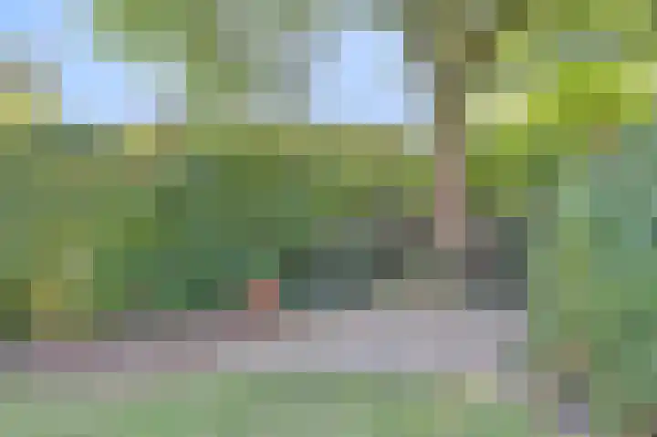 Slagveldstraat 9 Kruiningen thumbnail 31