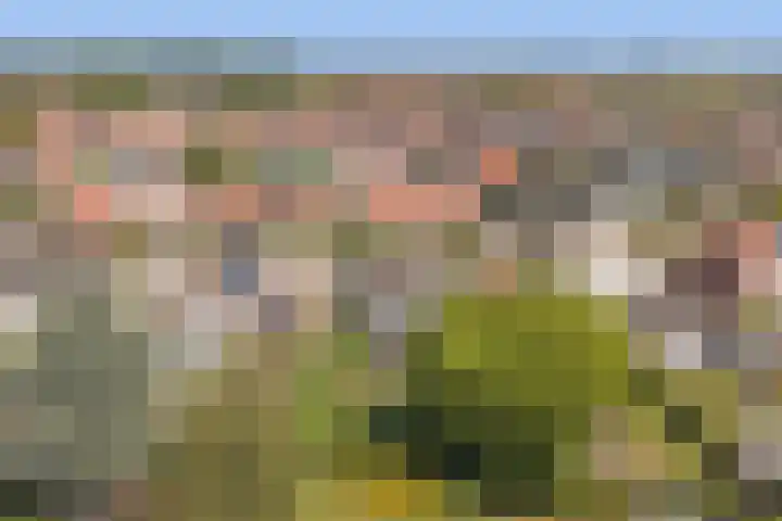 Slagveldstraat 9 Kruiningen thumbnail 32