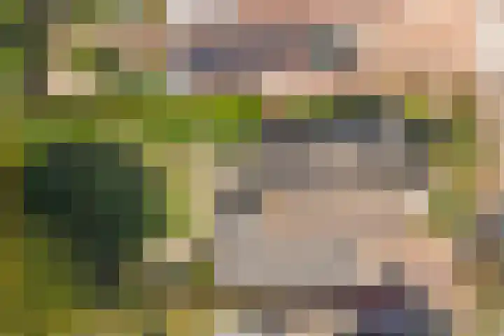Slagveldstraat 9 Kruiningen thumbnail 33