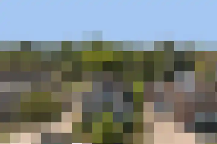 Slagveldstraat 9 Kruiningen thumbnail 35