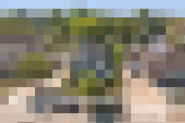 Slagveldstraat 9 Kruiningen thumbnail 36