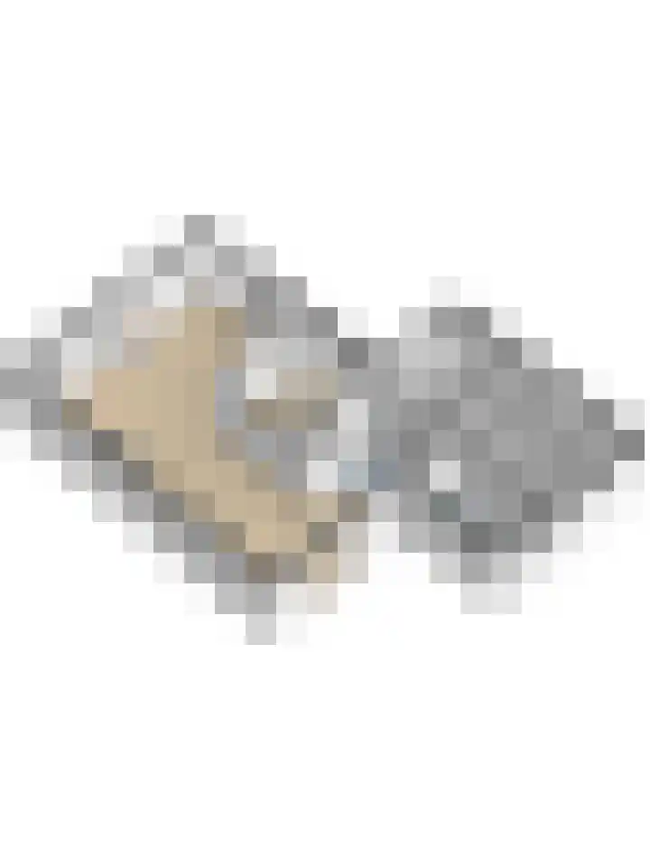 Slagveldstraat 9 Kruiningen thumbnail 41