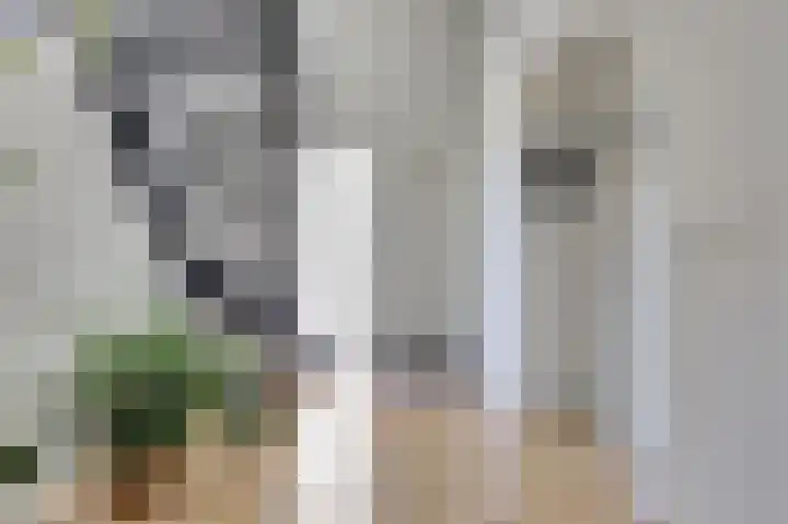 Slagveldstraat 9 Kruiningen thumbnail 5
