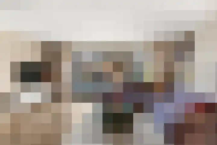 Slagvink 112 Veenendaal thumbnail 12