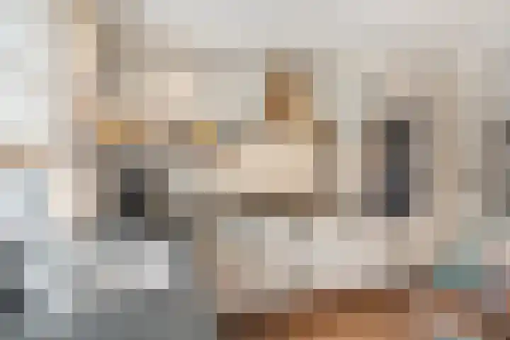Slagvink 112 Veenendaal thumbnail 22