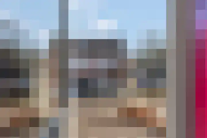Slagvink 112 Veenendaal thumbnail 28