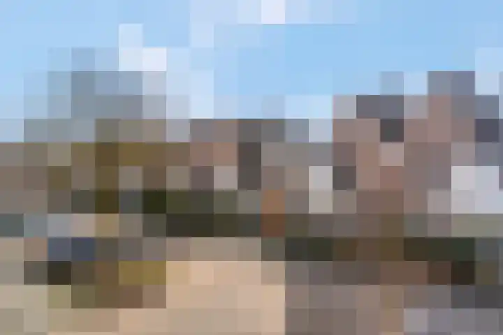 Slagvink 112 Veenendaal thumbnail 29