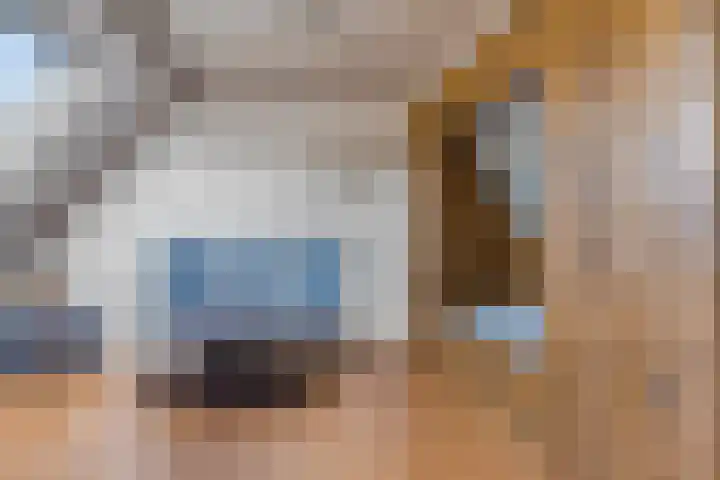 Slagvink 112 Veenendaal thumbnail 4