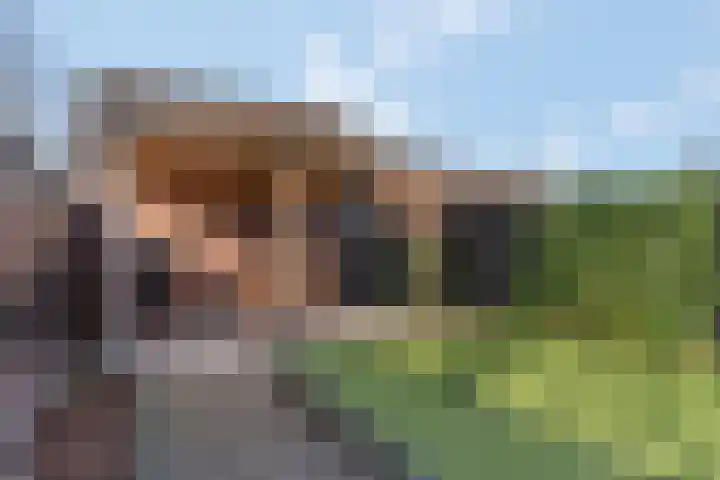 Slagvink 112 Veenendaal thumbnail 45