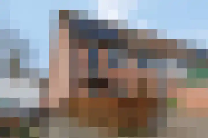 Slagvink 112 Veenendaal thumbnail 5