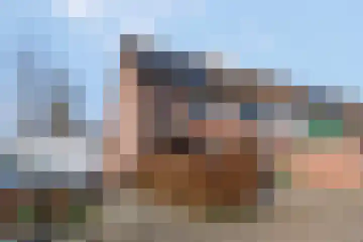 Slagvink 112 Veenendaal thumbnail 51