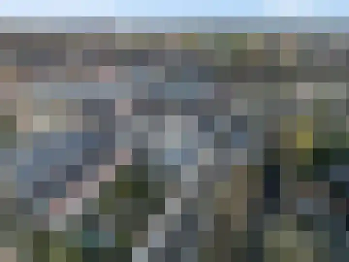 Slagvink 112 Veenendaal thumbnail 60