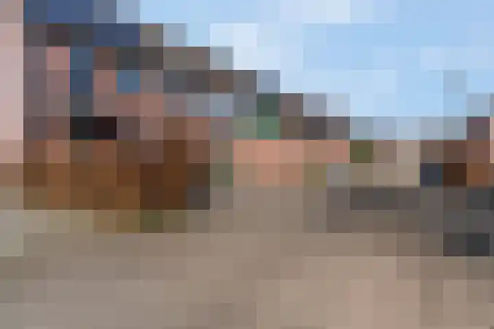 Slagvink 112 Veenendaal thumbnail 7