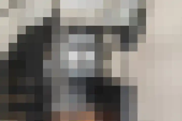 Slagvink 112 Veenendaal thumbnail 9