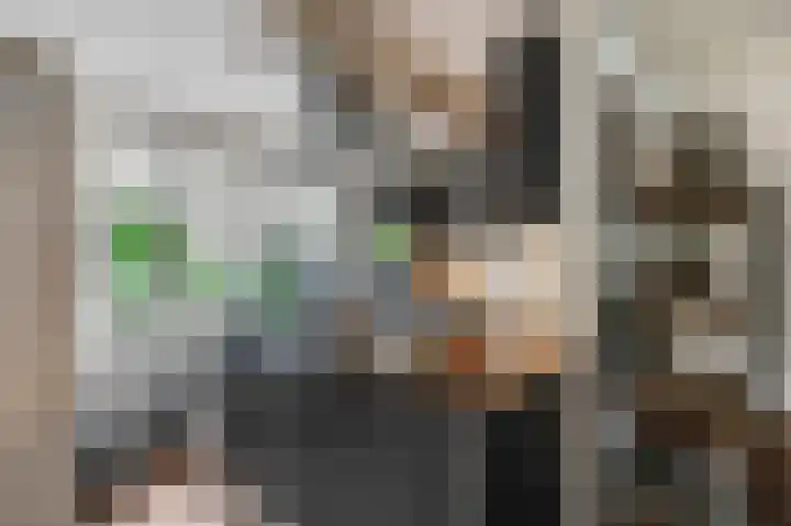 Slagvink 130 Veenendaal thumbnail 10
