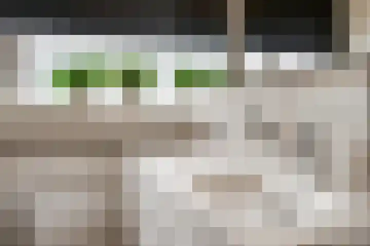 Slagvink 130 Veenendaal thumbnail 16