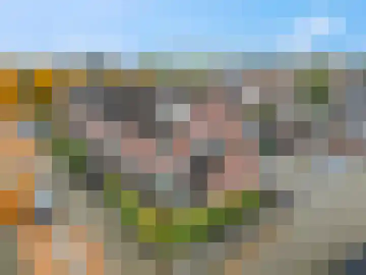Slagvink 130 Veenendaal thumbnail 30