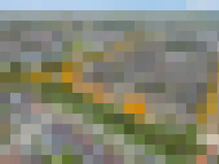 Slagvink 130 Veenendaal thumbnail 31