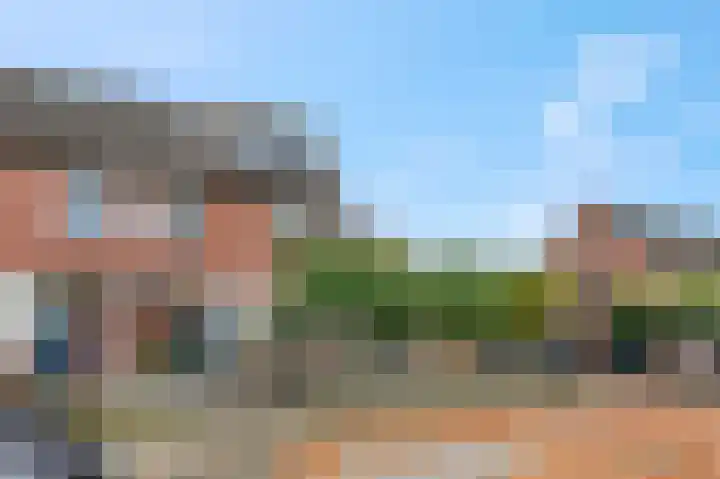 Slagvink 130 Veenendaal thumbnail 5