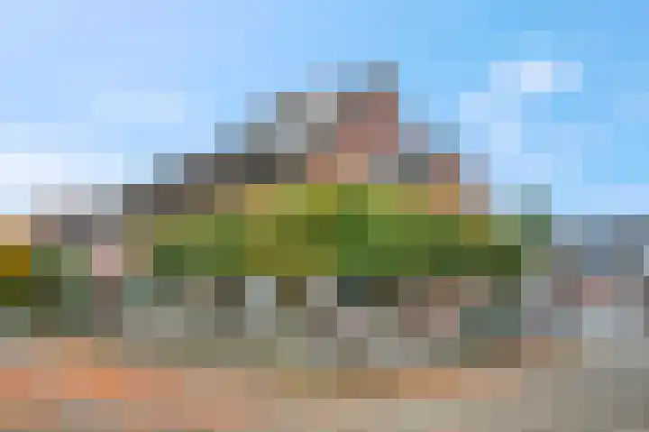 Slagvink 130 Veenendaal thumbnail 6
