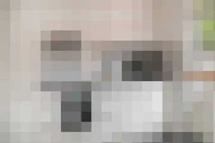 Slagvink 22 Veenendaal thumbnail 10