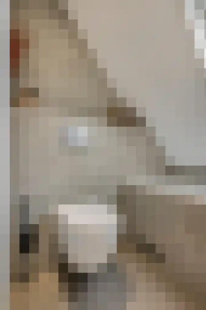 Slagvink 22 Veenendaal thumbnail 23