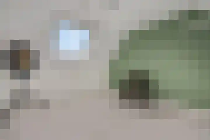 Slagvink 22 Veenendaal thumbnail 27