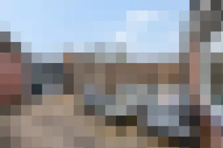 Slagvink 22 Veenendaal thumbnail 29