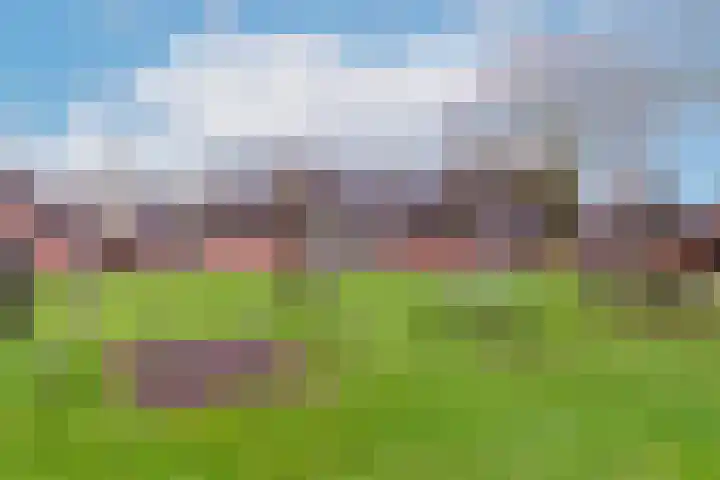 Slagvink 22 Veenendaal thumbnail 34