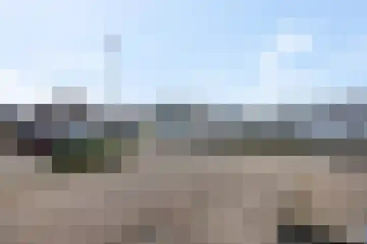 Slagvink 22 Veenendaal thumbnail 35
