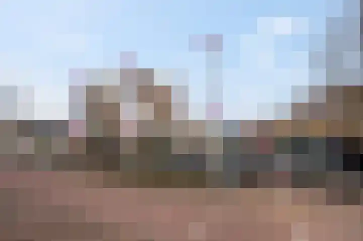 Slagvink 22 Veenendaal thumbnail 37