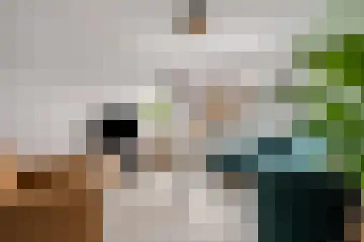 Slagvink 22 Veenendaal thumbnail 4